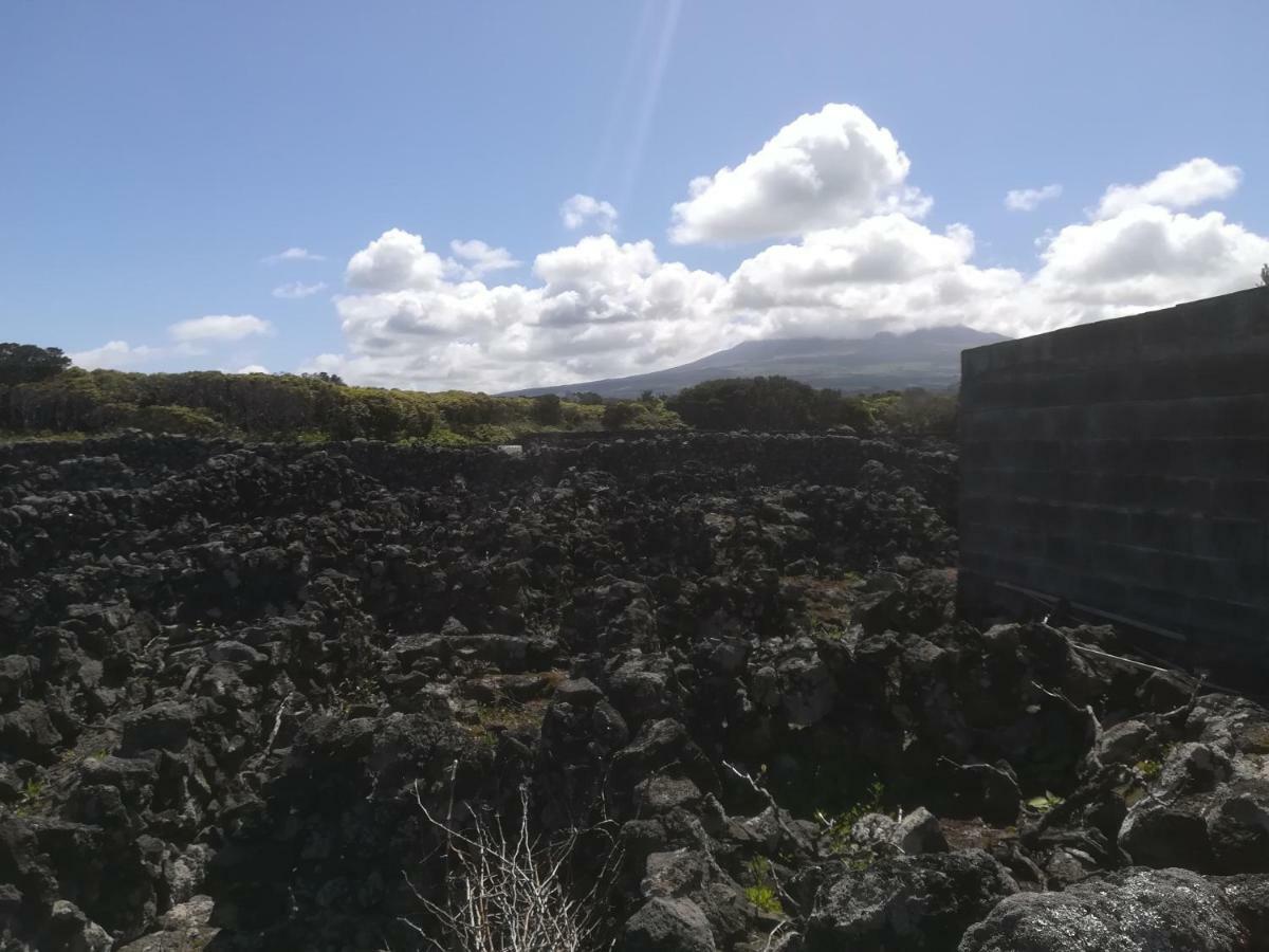 Adega Dos Virgilios Villa Madalena  Esterno foto